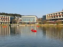 -铁山坪森林公园