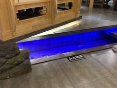 -九田家黑牛烤肉料理(中北镇店)