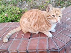 -上海交通大学闵行校区-包玉刚图书馆