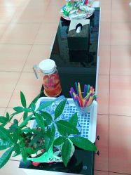 -本真坊美容美体沙龙