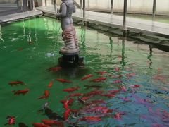 -陕西自然博物馆