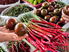 -五里多农博广场