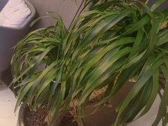 -澜悦汇推拿足道(蓝村路店)