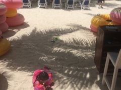 -亚马逊丛林水乐园