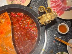 -蜀大侠火锅(总府路店)