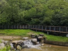 -白水寺森林公园