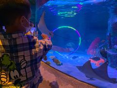 -沈阳海洋探索中心