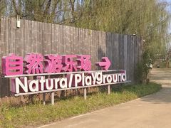 -圣露庄园·露营·烤肉·亲子