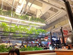 -猫爪爪原切自助烤肉(观音桥阳光世纪店)