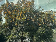 -浙江大学(紫金港校区)