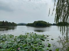 -上海市保健医疗中心