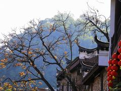 -上甘棠村