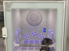 -爱洗澡的猫(天河路店)