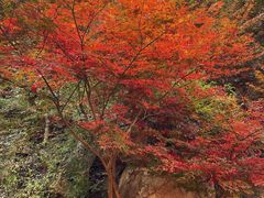 -崂山九水游览区