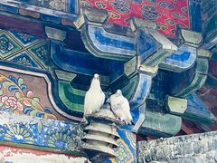 -洛阳白马寺