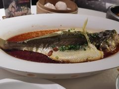 -维园悦谱·海派家常菜(乌鲁木齐南路店)