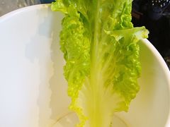 -佟爷·老北京炙子烤肉(动物园店)