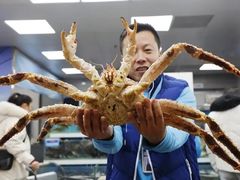 -盒马鲜生(大成店)