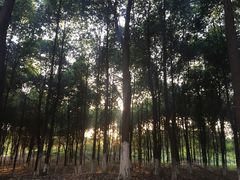 -成都工业学院(郫都校区)