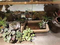 -猫的天空之城概念书店(杭州南宋御街店)