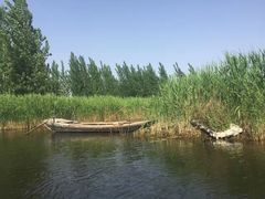 -白洋淀景区