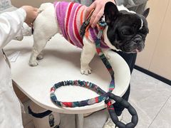 -瑞鹏宠物医院·超声·骨科·奇麟分院(蜀都万达店)