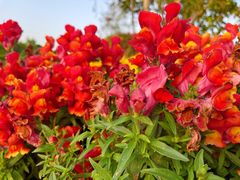 -苏州太湖国际会议中心