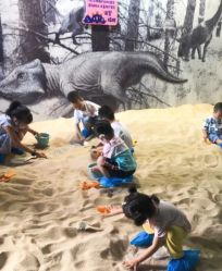 -恐龙探索乐园(磁器口店)