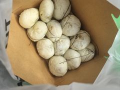 -舒小笼松针小笼包