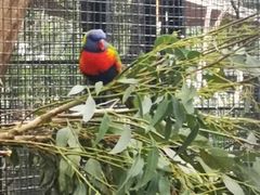 -费瑟代尔野生动物园