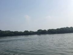 -西湖游船