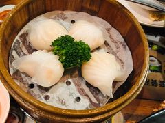 -香港新曜记茶餐厅(星耀城店)