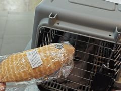 -联合动物医院(光谷诊疗中心)