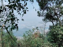 -岳麓山风景名胜区