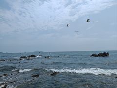 -银沙滩浴场