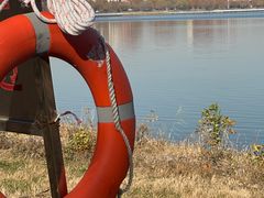 -武清南湖绿博园