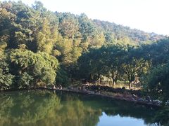 -九龙潭景区