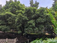 -晓港公园