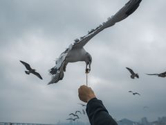 -星海广场