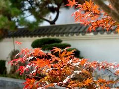 -北宫国家森林公园