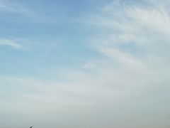 -盐城丹顶鹤湿地生态旅游区