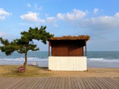 -巧克力渔家.小船海鲜胶东菜(三浴场店)