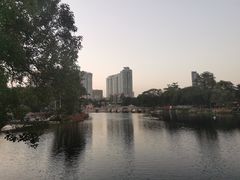 -荔湾湖公园