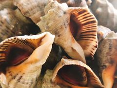 -聚德福海鲜家常菜(刘庄店)