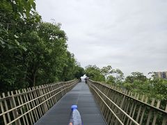 -福道