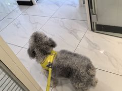 -艾吉宠物医院·疑难杂症转诊中心·猫友好(碧江路院)