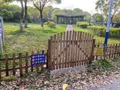 -上海都市菜园