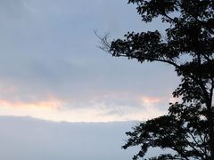 -二沙岛艺术公园