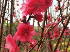 -白水带风景区体育公园