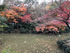 -秋霞圃